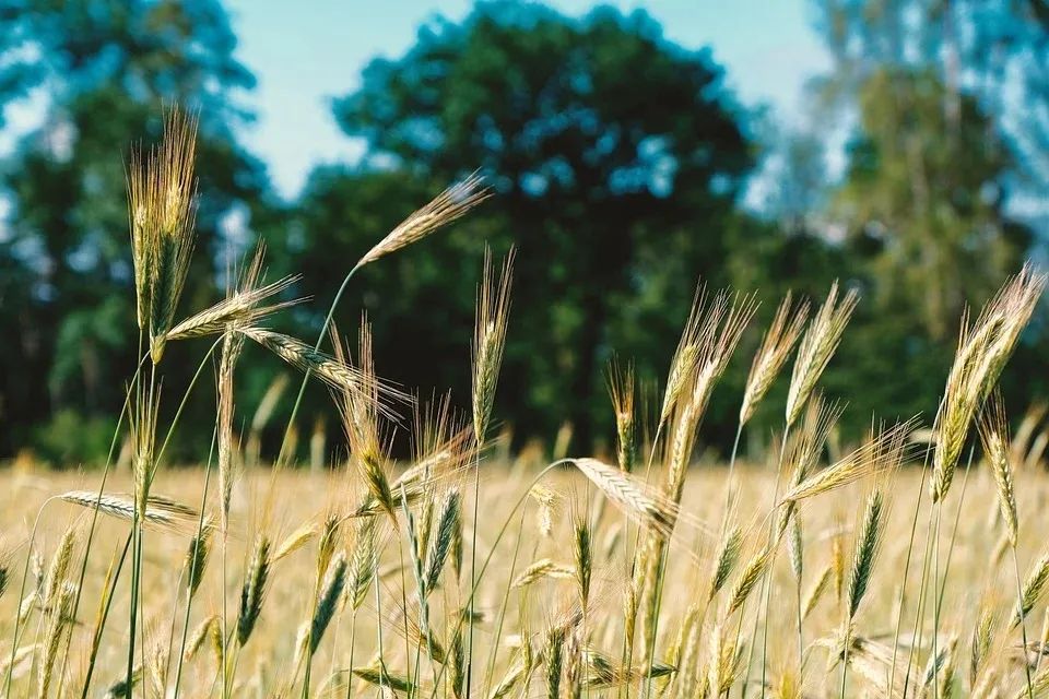 原创乐章《哦主，当那一日》你来到我身边-生命诗歌